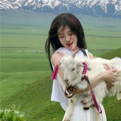 托米和灵猫